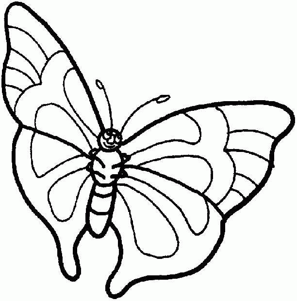 Butterfly Coloring Pages - Coloringpages1001.com