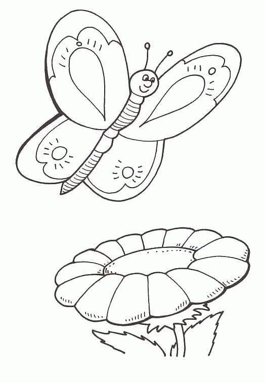Butterfly Coloring Pages - Coloringpages1001.com