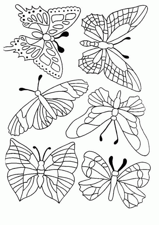 Coloring Pages Butterfly. Butterfly Coloring Pages