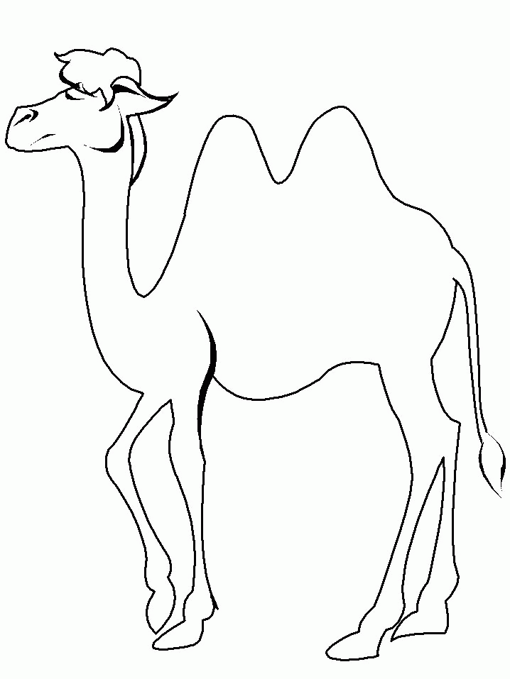 camel pages for coloring - photo #36