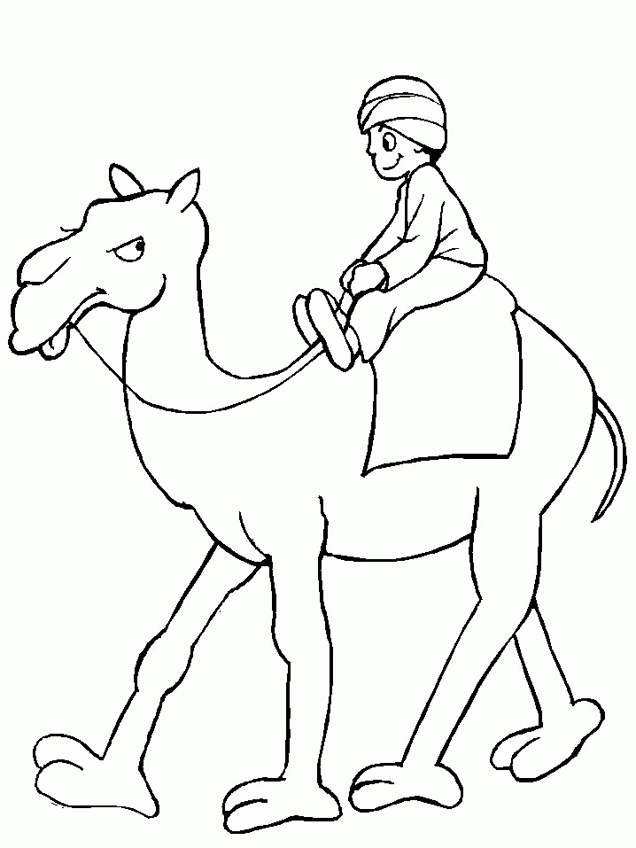 camel pages for coloring - photo #4