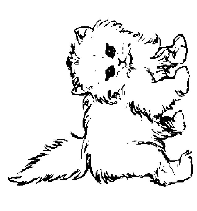 kitty cat free coloring pages - photo #30
