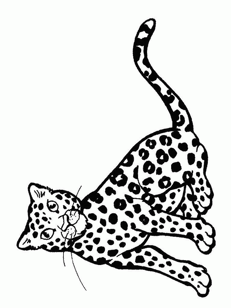 Cheetah Coloring Pages   Coloringpages20.com