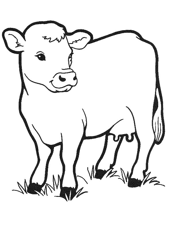 c is for cow coloring pages - photo #29