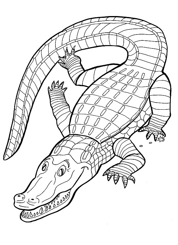 printable coloring pages crocodile - photo #23