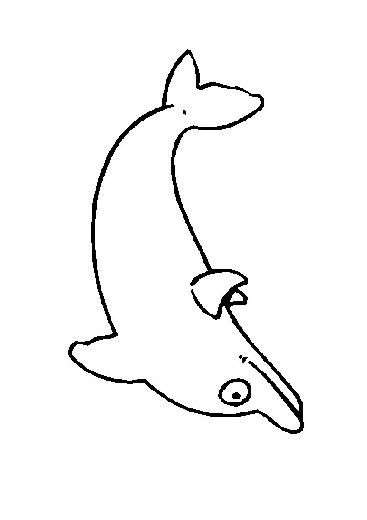 dolphin coloring pages  coloringpages1001