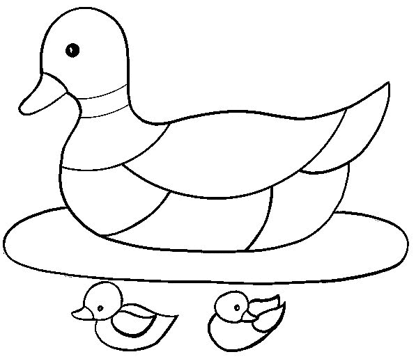 mallard ducks coloring pages - photo #11