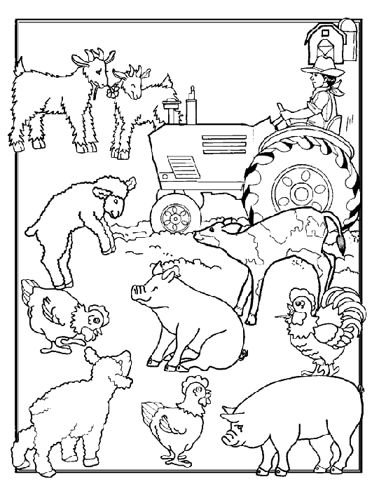 i am thankful for animals coloring pages - photo #8