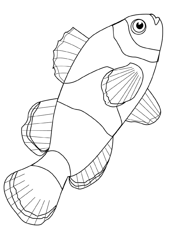 Fish Coloring Pages Coloringpages1001 Crappie