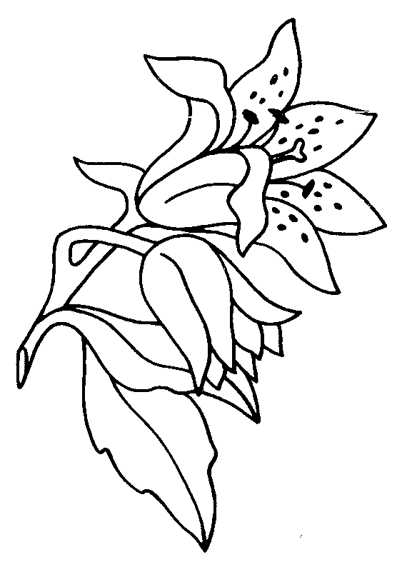 Coloring Pages Of Animals And Flowers. coloring pages of flowers for
