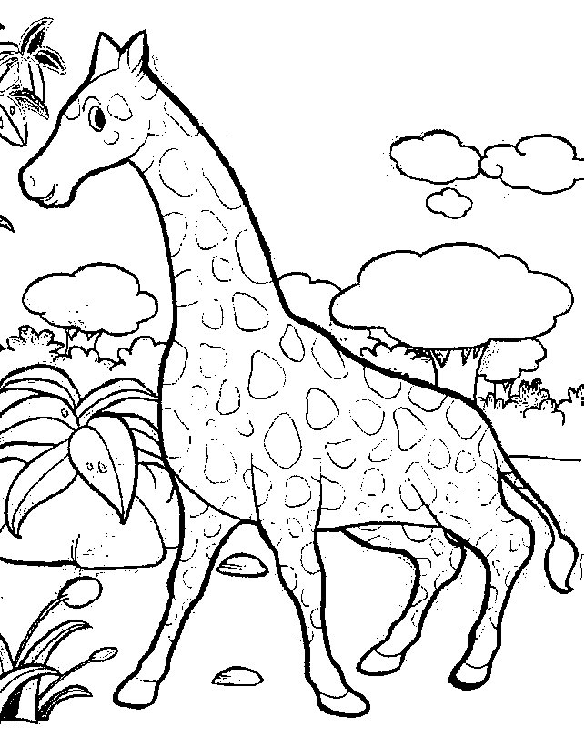 Giraffe Coloring Pages - Coloringpages1001.com