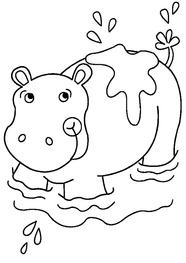 h is for hippo coloring pages - photo #40