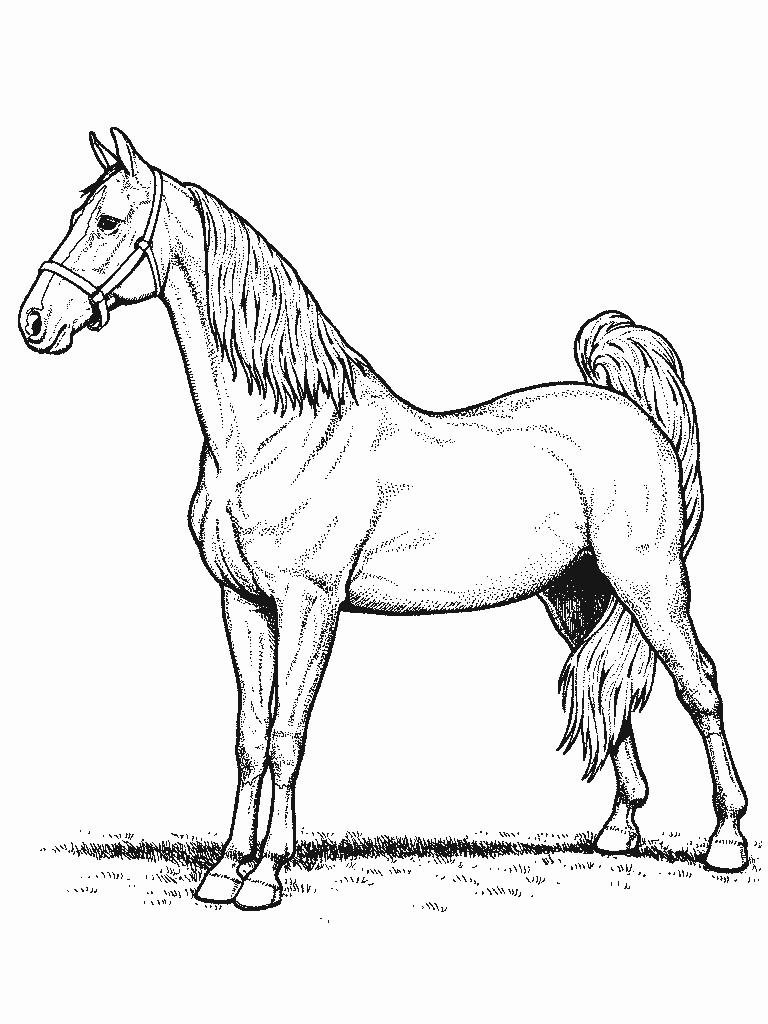 free-printable-horse-coloring-pages-for-kids