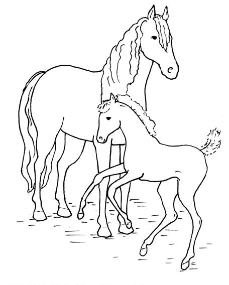 colt printable coloring pages - photo #16