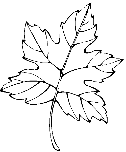 Leaf Coloring Pages - Coloringpages1001.com