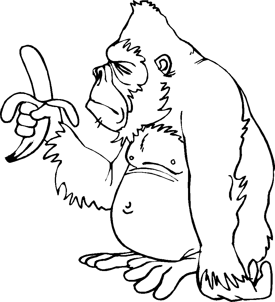 baboon coloring pages - photo #33