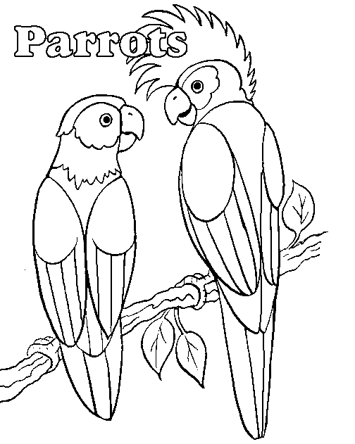 macaw coloring pages to print - photo #40