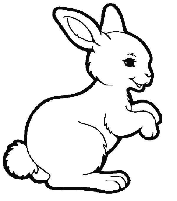 bunny coloring pages for kids - photo #21