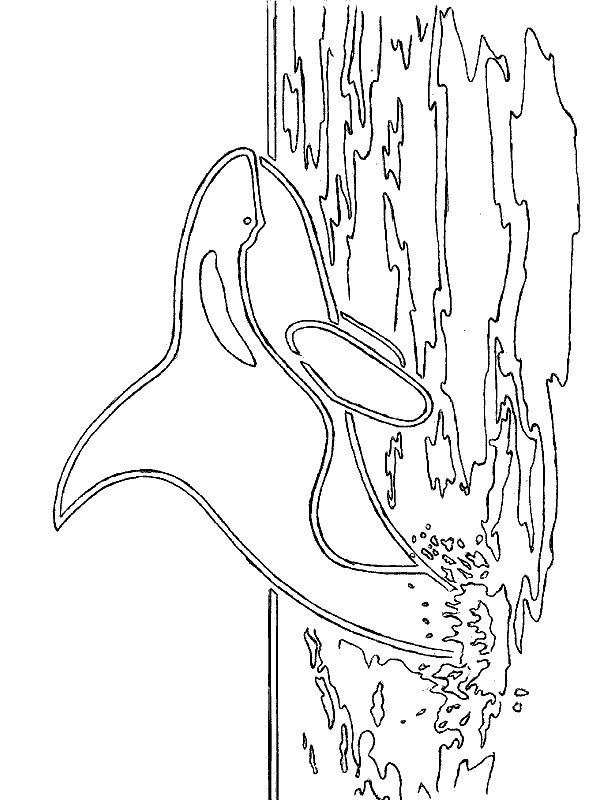 undersea animal coloring pages - photo #17