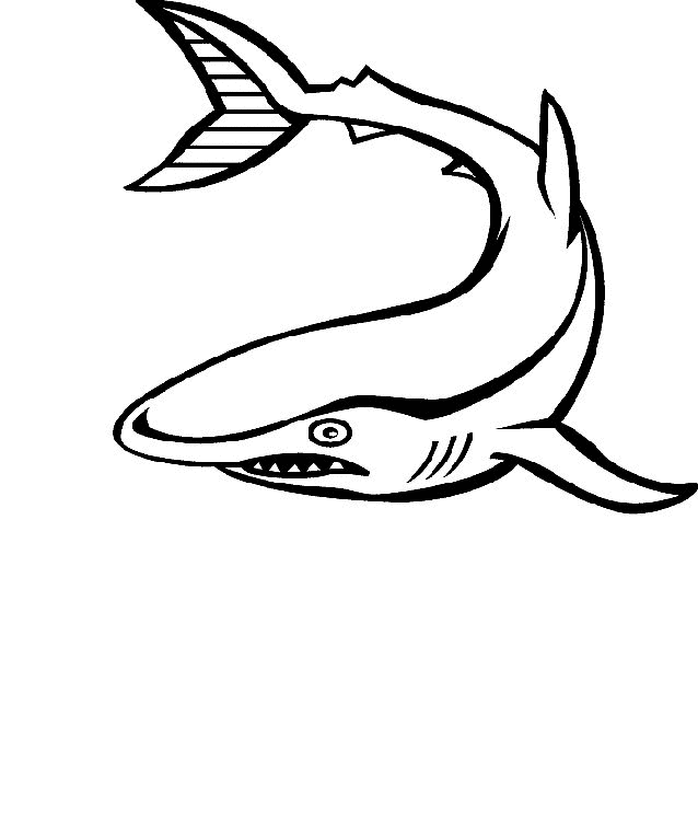 undersea animal coloring pages - photo #14