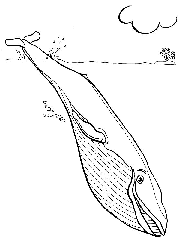 coloring pages ocean animals - photo #31