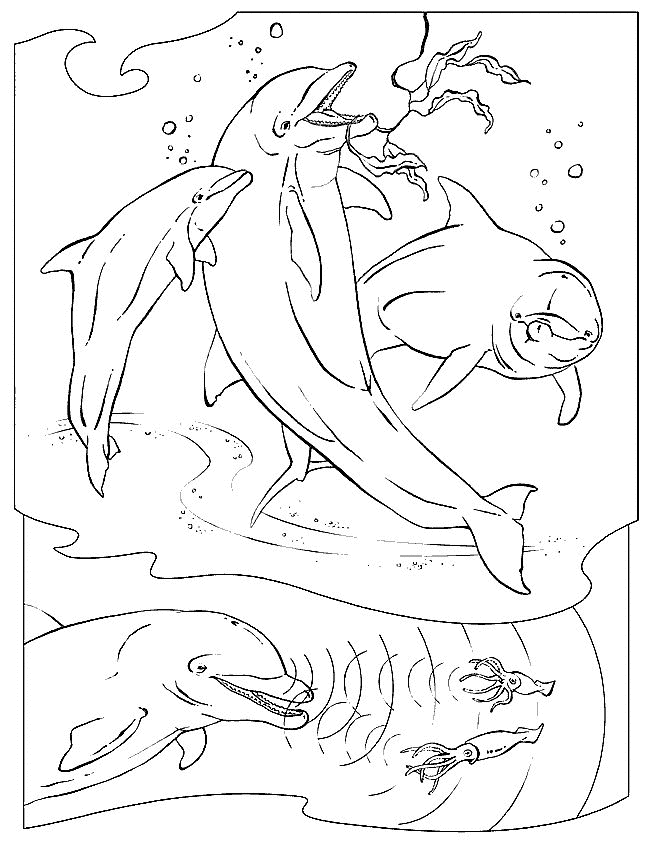 coloring pages ocean animals - photo #6