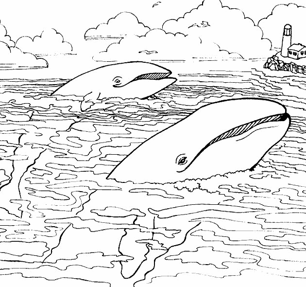 coloring pages ocean animals - photo #35