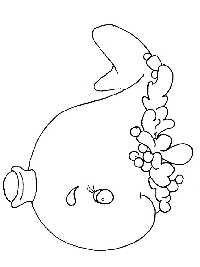 coloring pages ocean animals - photo #32