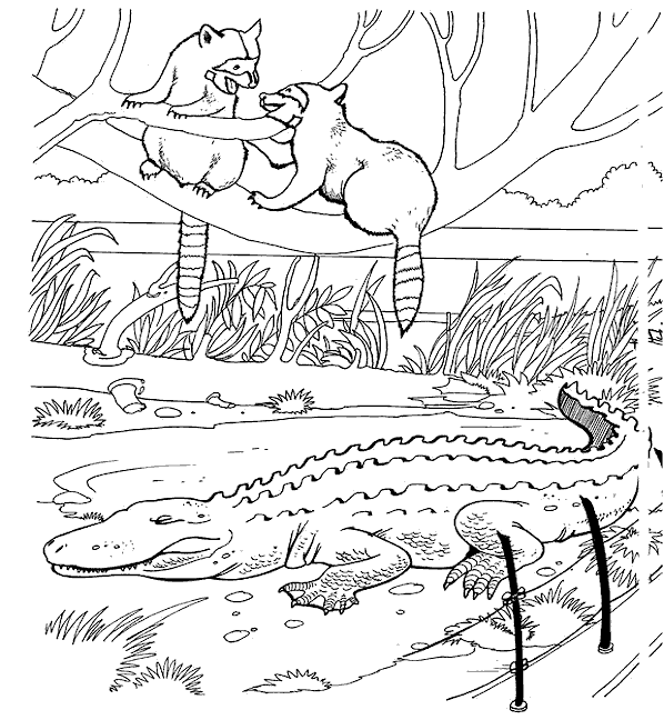 zoo coloring pages online - photo #12