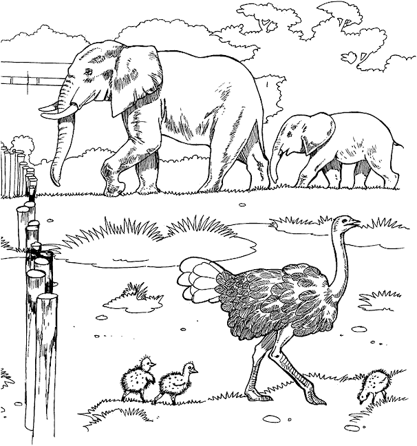 zoo coloring pages online - photo #26