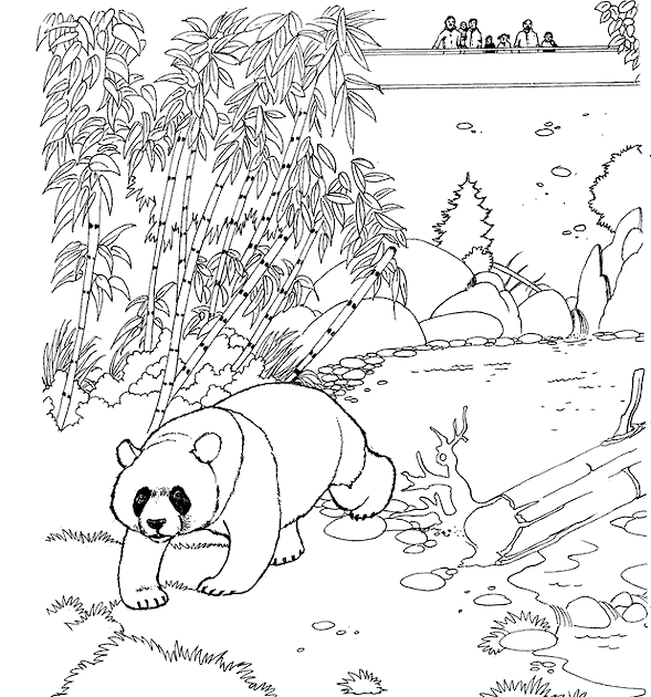 zoo coloring pages online - photo #6