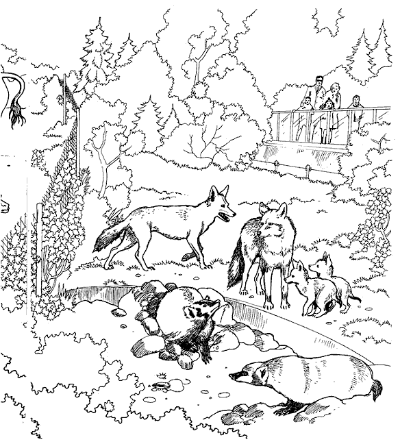 zoo coloring pages online - photo #27