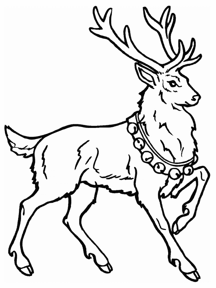 Deer Coloring Pages - Coloringpages1001.com