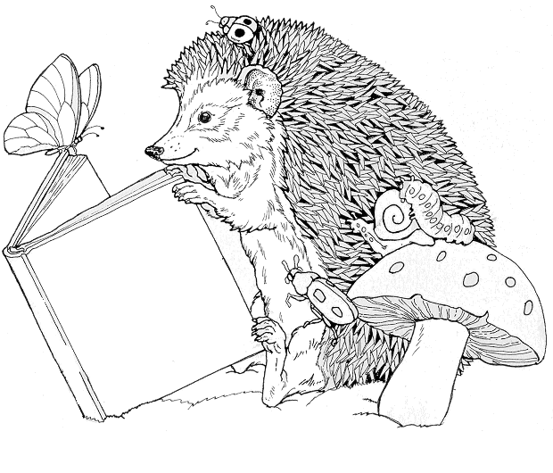 Hedgehog Coloring Pages