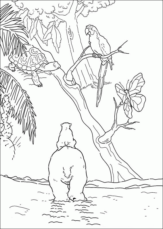 the little polar bear coloring pages  coloringpages1001