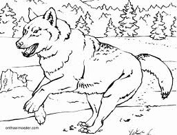 Wolves Coloring Pages